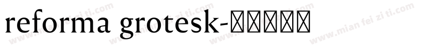 reforma grotesk字体转换